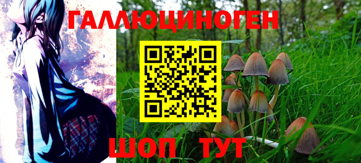 Псилоцибиновые грибы MAGIC MUSHROOMS Михайловка