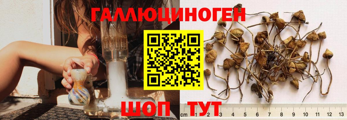 Галлюциногенные грибы Psilocybe  Галлюциногенные грибы MAGIC MUSHROOMS  Михайловка  Вход с VPN 