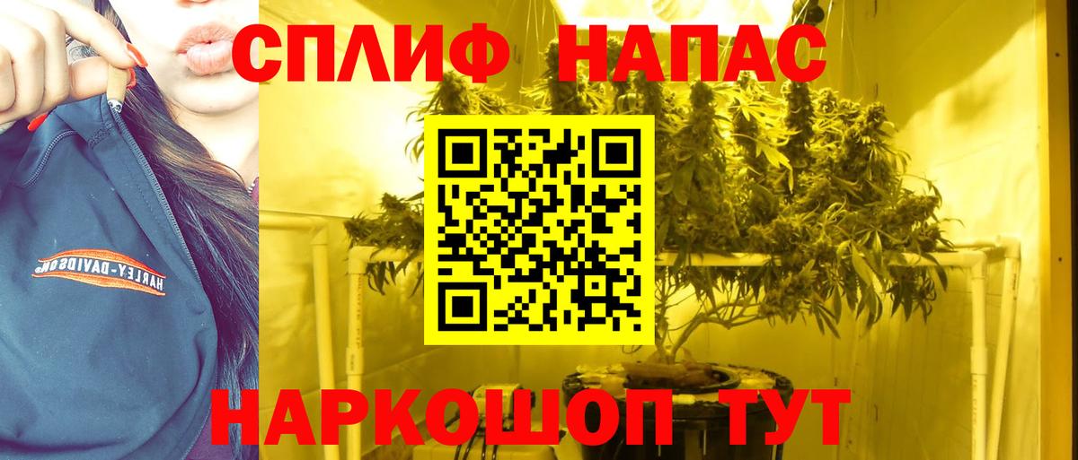 Марихуана Amnesia  Бошки марихуана White Widow  Вход с VPN  Бошки марихуана индика  Михайловка 